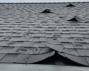 Roof Repair vs Replacement: The Complete Guide Roof Repair vs Replacement: The Complete Guide