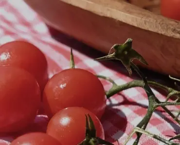 5 Essential April Tomato Care Steps