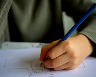 7 Ways Cherry Blossoms Teach Family Structure