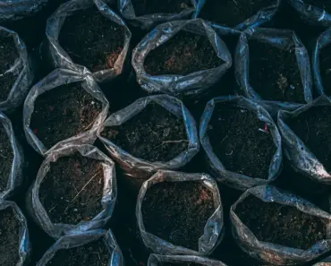 6 Cheap Ways to Fill Containers & Save Money