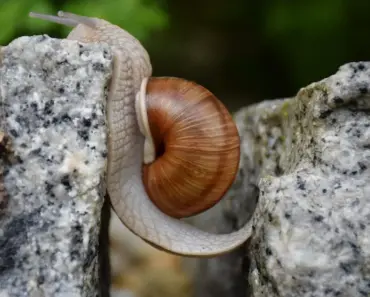 Ways to Overcome Ultra-Independence & Receive Love