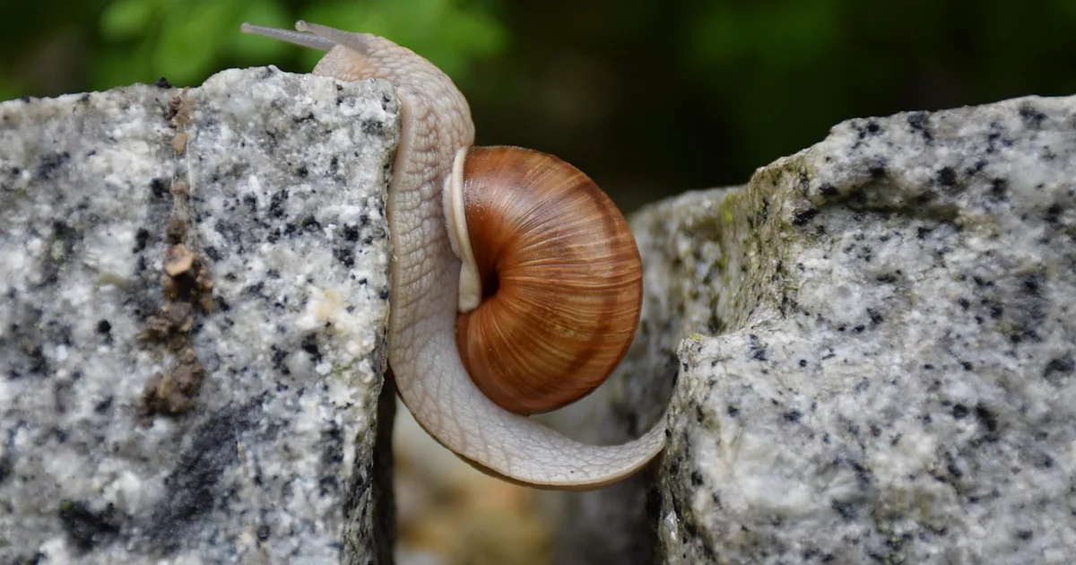 overcome ultra-independence love