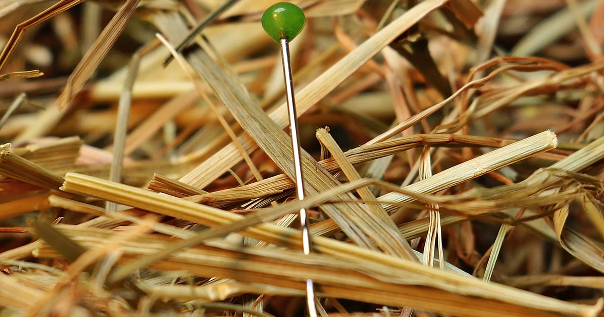 expensive looking spring finds