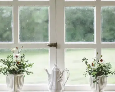 13 Classic Annual Flowers for a Stunning Garden