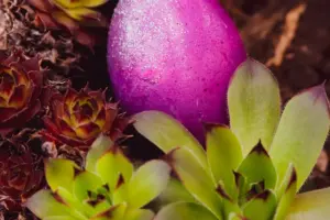7 Herbs to Plant in April: Spring Gardening Guide