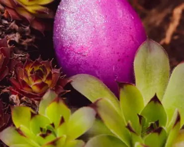 7 Herbs to Plant in April: Spring Gardening Guide