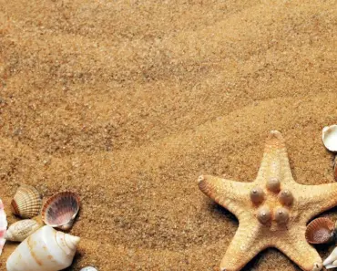 7 Ways H&M’s Minimalist Summer Collection Steals the Show