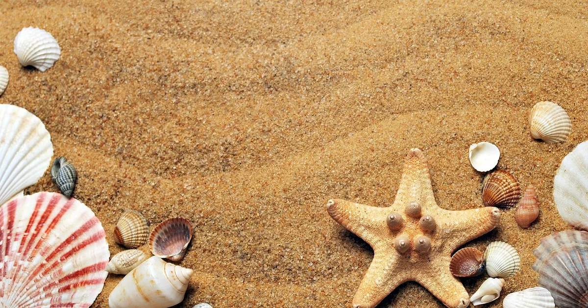 hm minimalist summer collection