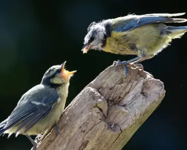 7 Chic Heels to Style With Your Jeans