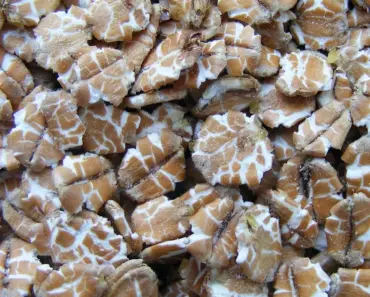 9 Top Omega 3 Supplement Brands (2026 Review)