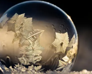 7 Ways to Make Beautiful Wildflower Soap