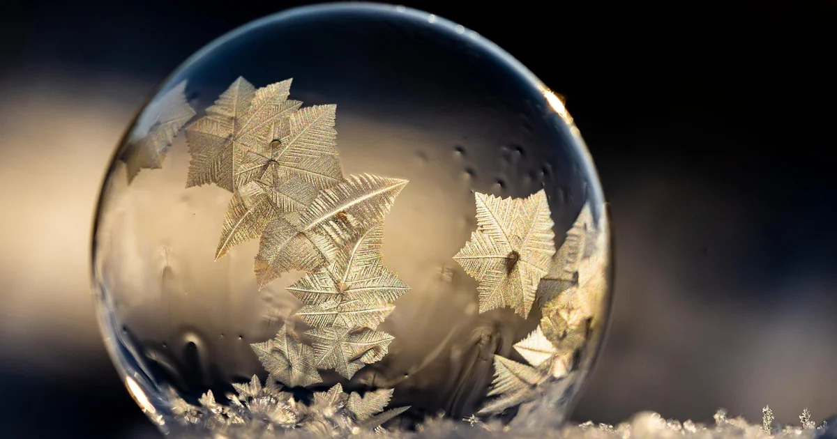 wildflower cold process soap