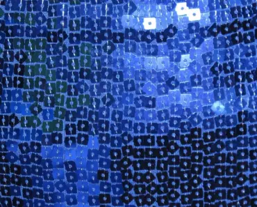 Alycia Baumgardner’s Bikini Dress: 7 Bold Details Revealed