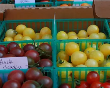 7 Tomatoes to Grow: Discover Your Exact Right Kind