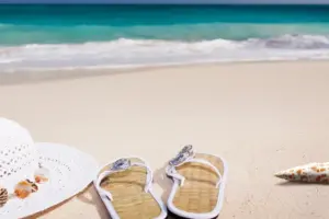Elsa Wore Flip Flops: 7 Luxe Legging Colors 2026