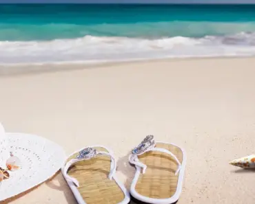 Elsa Wore Flip Flops: 7 Luxe Legging Colors 2026