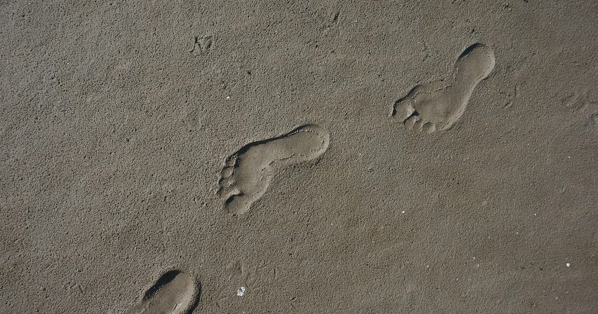 five sense soothing plants