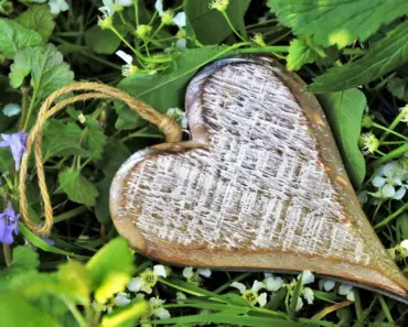 7 Stunning Ornamental Grasses for Lazy Gardeners