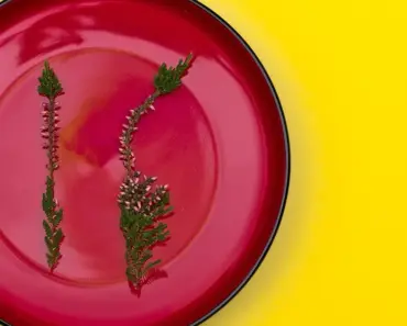 7 Ways Margot Robbie Swapped Heels for Chic Flats