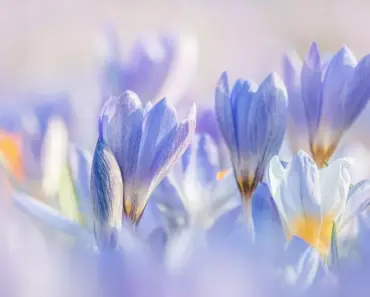 6 Spring 2026 Microtrends People Are Wearing Now