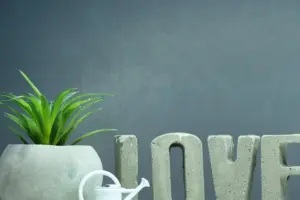 5 Houseplants That Grow Better in Water