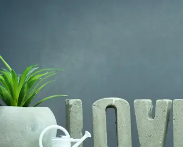 5 Houseplants That Grow Better in Water