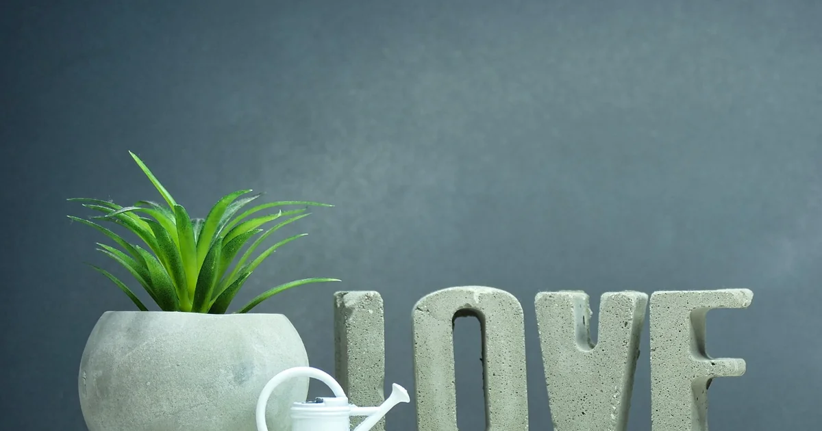 houseplants grow water