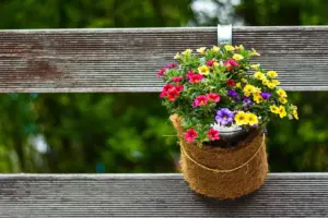 7 Expert Spring Garden Layouts for the Midwest