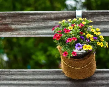 7 Expert Spring Garden Layouts for the Midwest