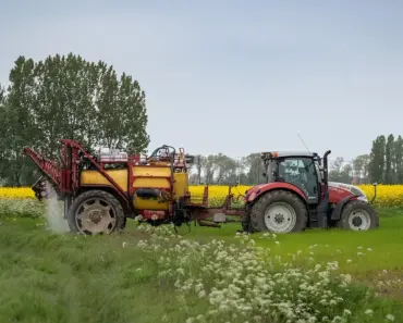 Tried the 7 Most Popular DIY Weed Killers