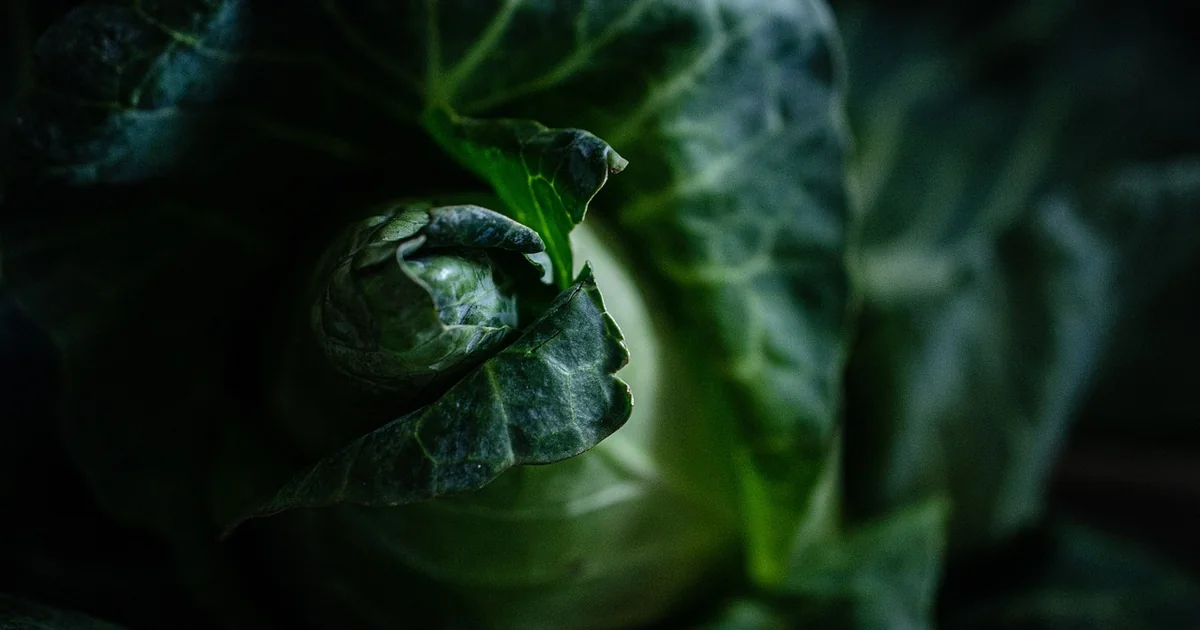 subsistence garden crops