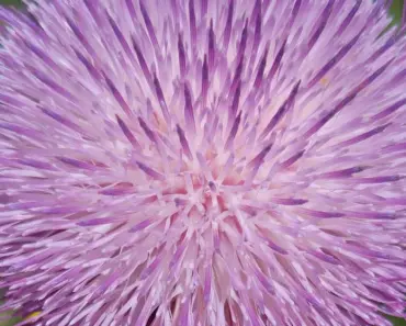 6 Spring/Summer Fashion Trends People Love Now