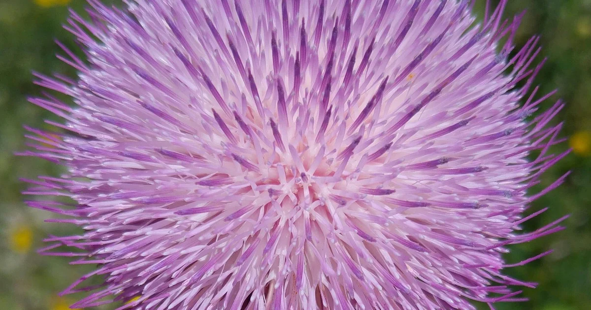 spring summer trends