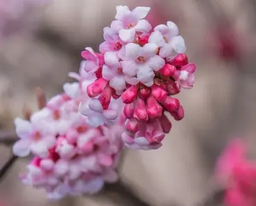 7 Scented Body Oils That Epitomize Quiet Luxury in 2026