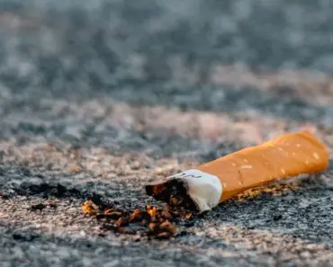 5 Habits of Happiness 90 Years of Wisdom Taught Me