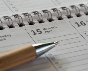 April Tomato Care: 5 Essential Steps for Healthy Plants