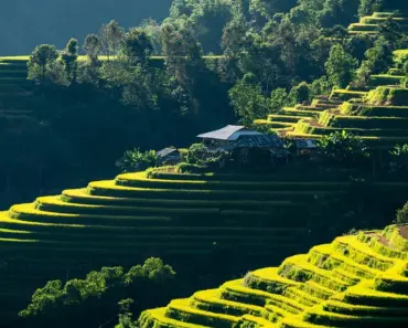 7 Steps to Recreate Sabrina Carpenter’s Iconic Vintage Red Coachella Manicure Like a Pro