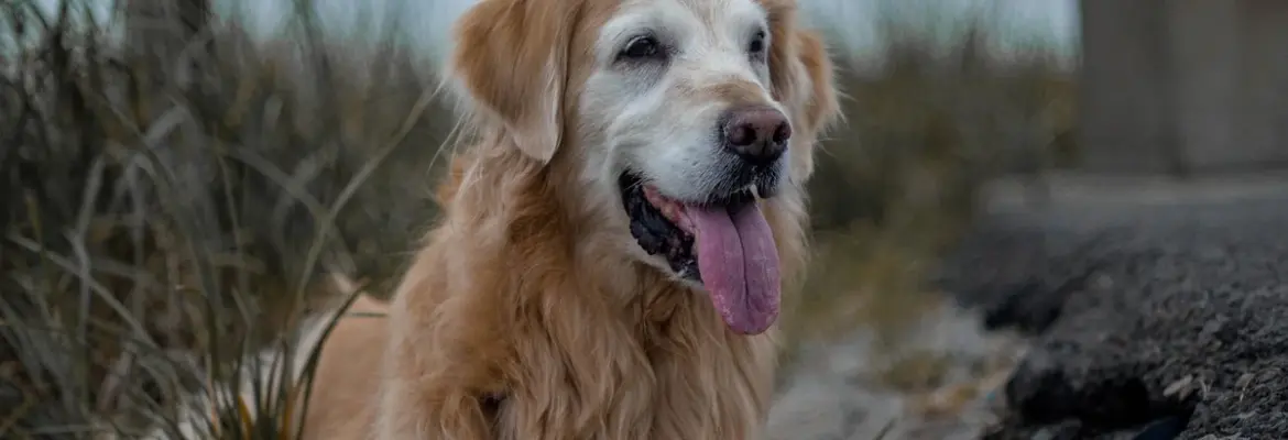 Katie’s Bold Fashion Move: 5 Anti-Trend Flats That Make Maxi Skirts Look Amazing