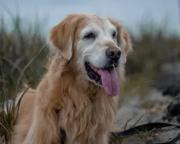 Katie’s Bold Fashion Move: 5 Anti-Trend Flats That Make Maxi Skirts Look Amazing