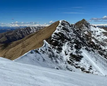 Top 7 Best Potting Soils for Vegetables That Produce Bountiful Harvests