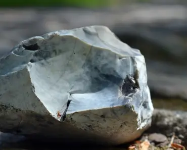 7 Reasons Fabric Grow Bags Outperform Traditional Containers for Potted Tomatoes