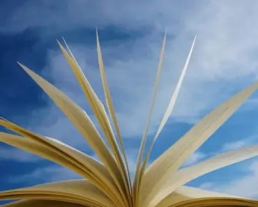 12 Clever DIY Secrets to Make a Small Backyard Feel Larger