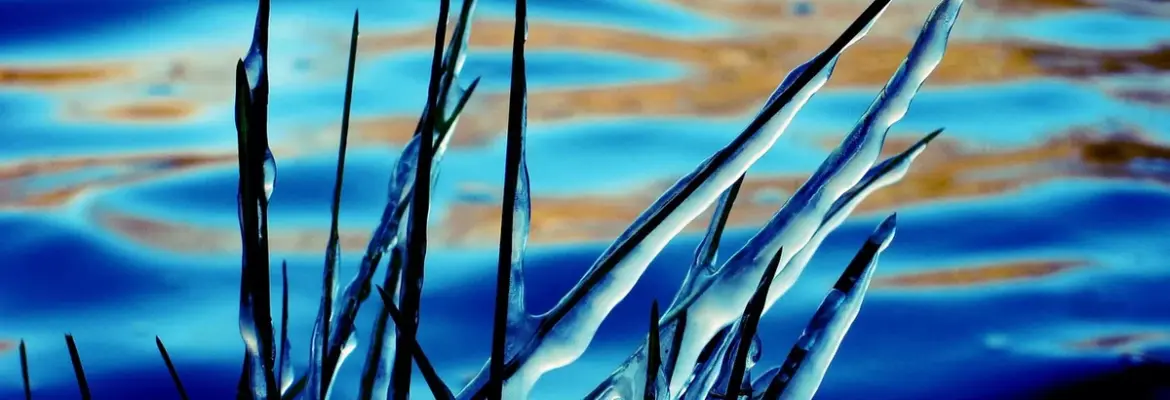 Becoming Minimalist’s Most Popular Articles