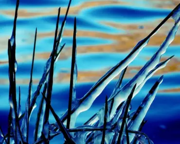 Becoming Minimalist’s Most Popular Articles