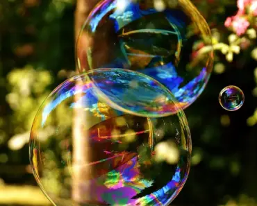 7 Easy-Sow Seeds to Start in April For a Colorful Summer