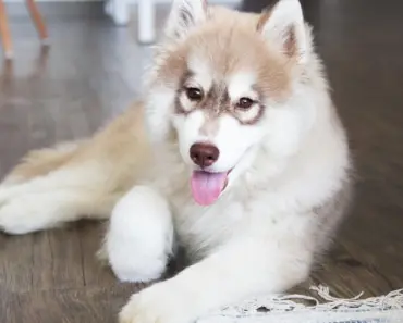 20 Best Tools To Learn Something New Every Day [2026 Update]