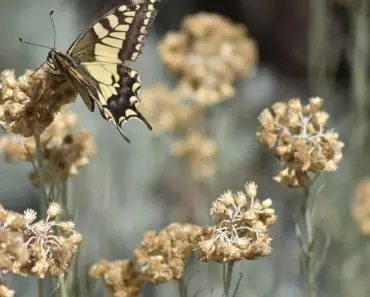 7 Surprising Daily Habits That Keep Holding the Best of Us Back Forever