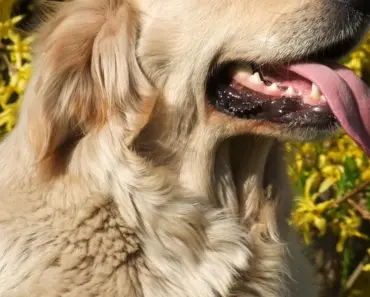 10 Cheap and Easy Garden Edging Ideas Anyone Can Implement