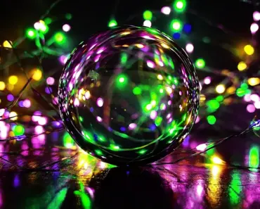 7 Magic Ingredients to Make Hanging Baskets a Low Maintenance Delight