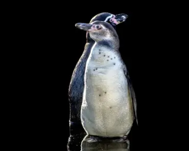 7 Natural Ingredients to Create a Healing Cuticle Balm Recipe at Home